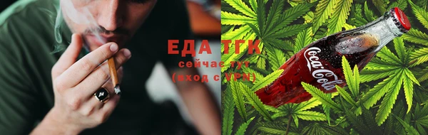 гидра Арсеньев