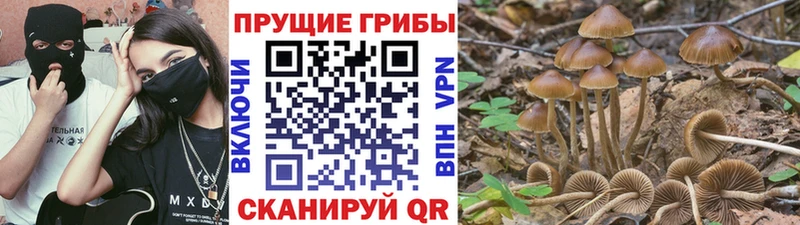 наркота  Аша  Галлюциногенные грибы мицелий 